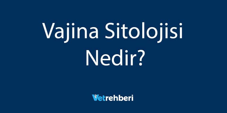 Vajina Sitolojisi Nedir?