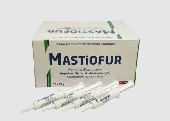 Mastiofur