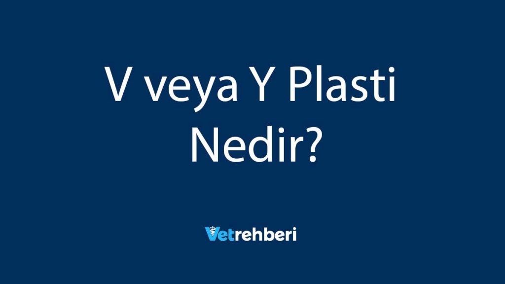 V veya Y Plasti Nedir?