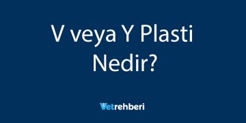 V veya Y Plasti Nedir?