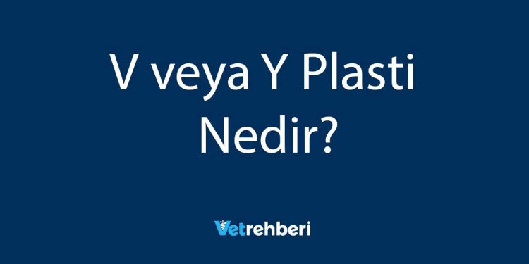 V veya Y Plasti Nedir?