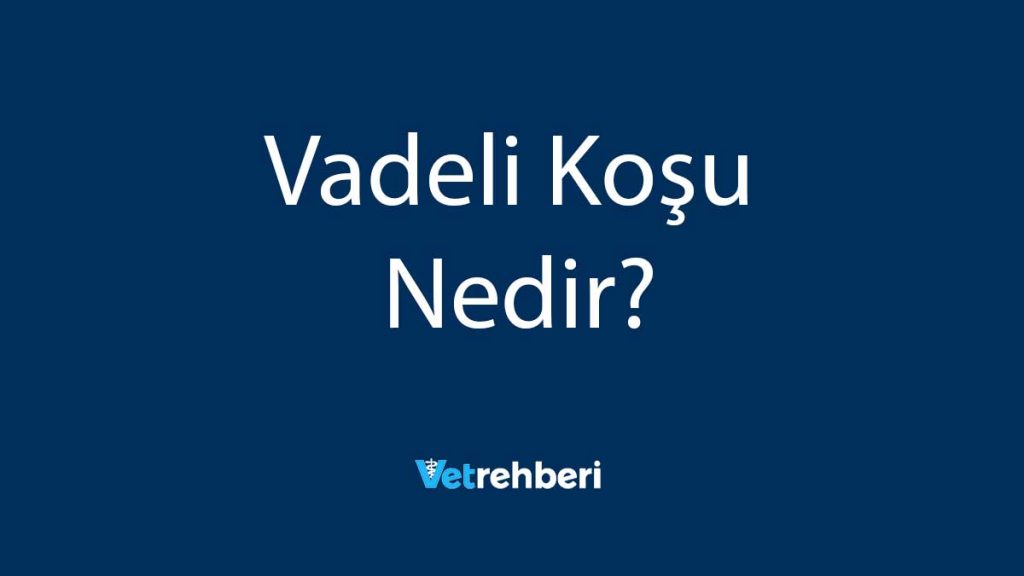 Vadeli Koşu Nedir?