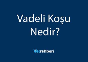 Vadeli Koşu Nedir?