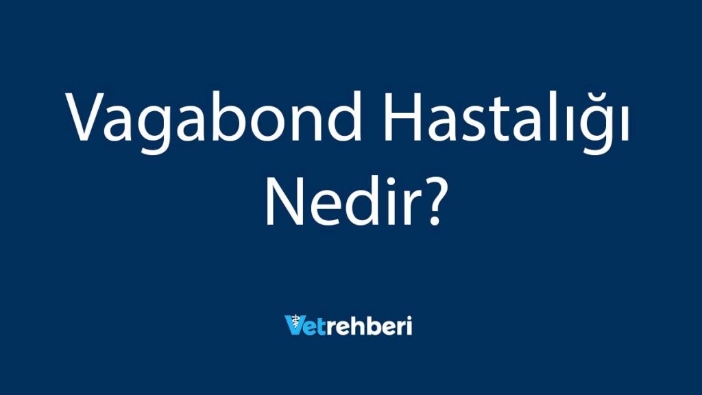 Vagabond Hastalığı Nedir?