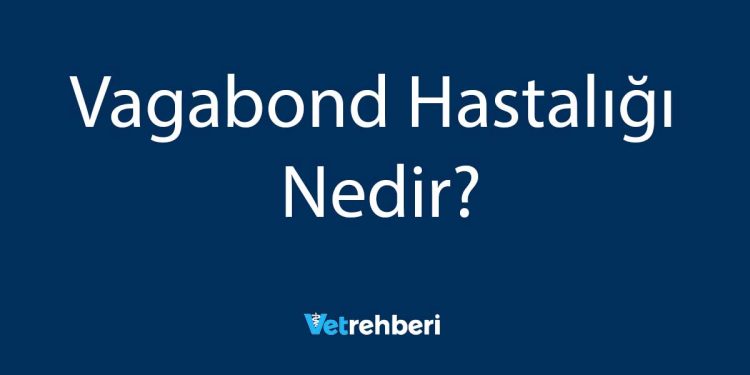 Vagabond Hastalığı Nedir?