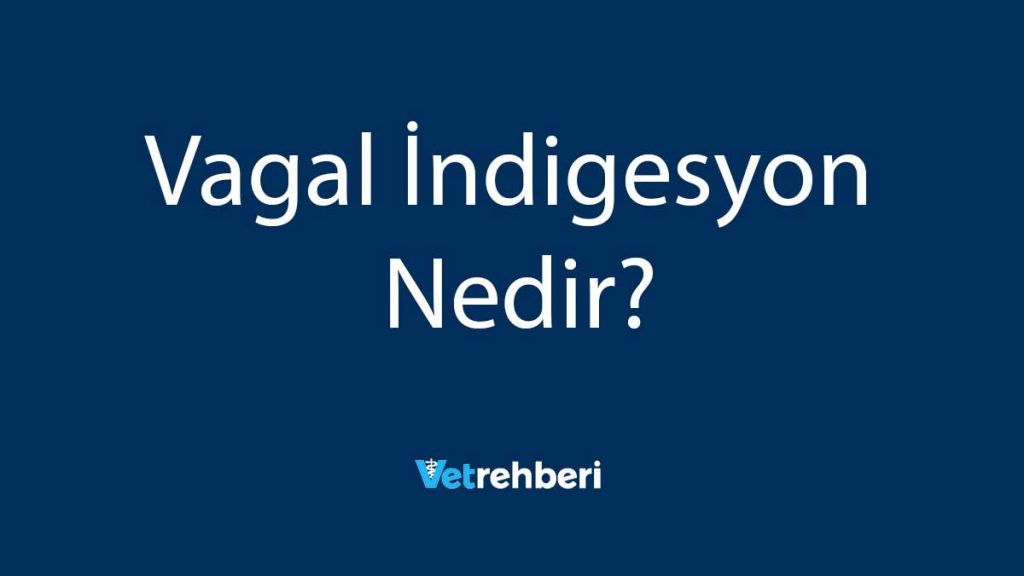 Vagal İndigesyon Nedir?