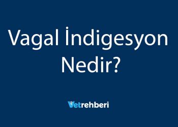 Vagal İndigesyon Nedir?