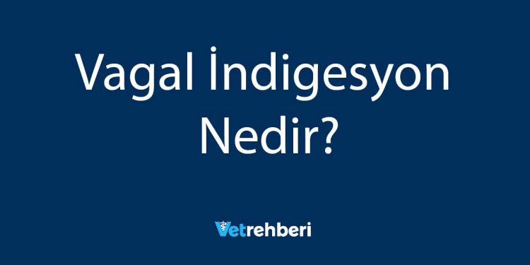 Vagal İndigesyon Nedir?