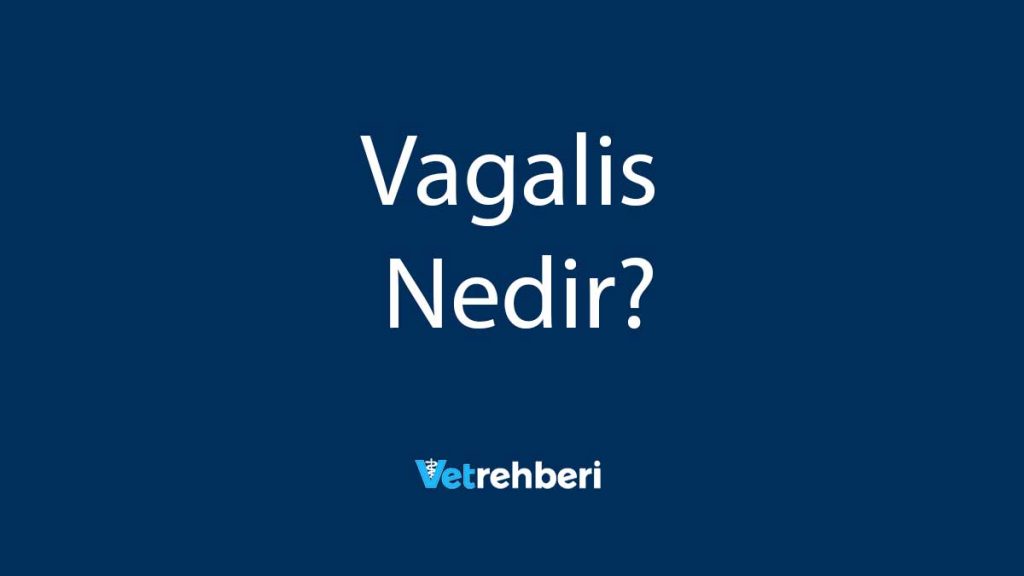 Vagalis Nedir?