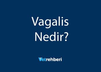 Vagalis Nedir?
