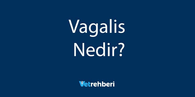 Vagalis Nedir?