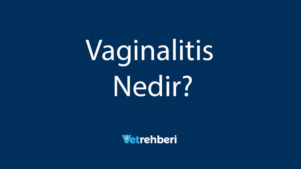 Vaginalitis Nedir?