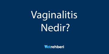 Vaginalitis Nedir?