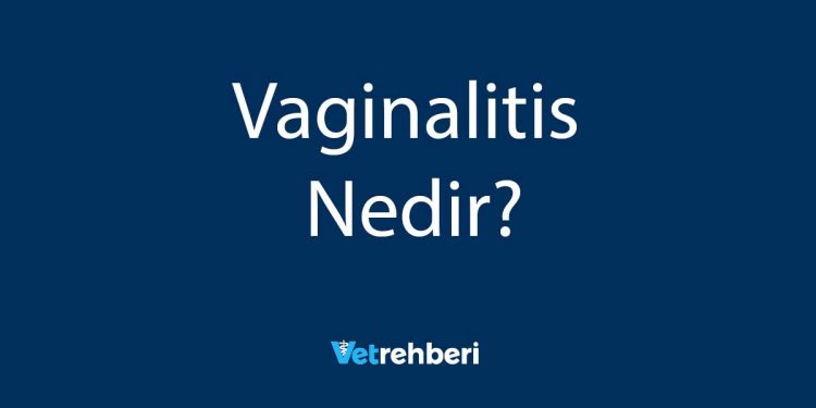 Vaginalitis Nedir?