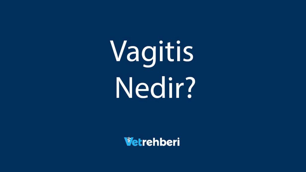 Vagitis Nedir?