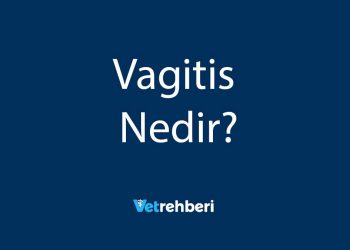 Vagitis Nedir?
