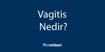 Vagitis Nedir?