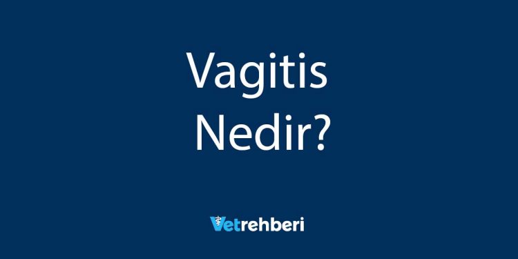 Vagitis Nedir?