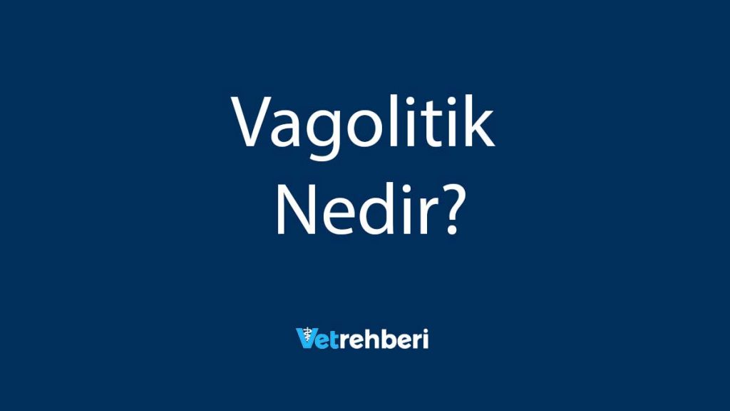 Vagolitik Nedir?