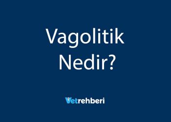 Vagolitik Nedir?