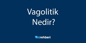 Vagolitik Nedir?
