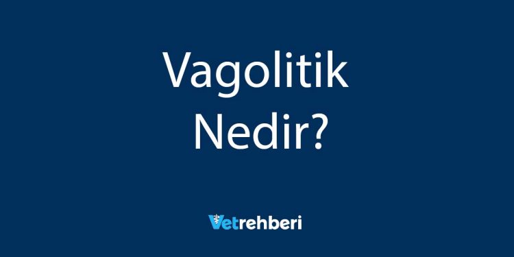 Vagolitik Nedir?