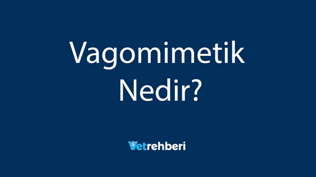 Vagomimetik Nedir?