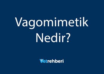 Vagomimetik Nedir?