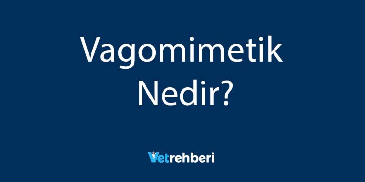 Vagomimetik Nedir?