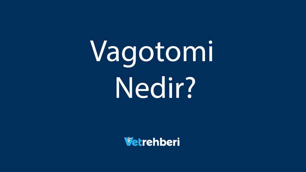 Vagotomi Nedir?