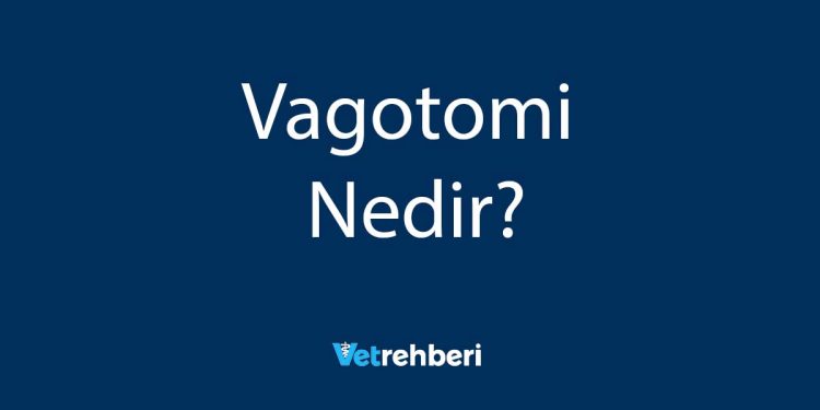 Vagotomi Nedir?