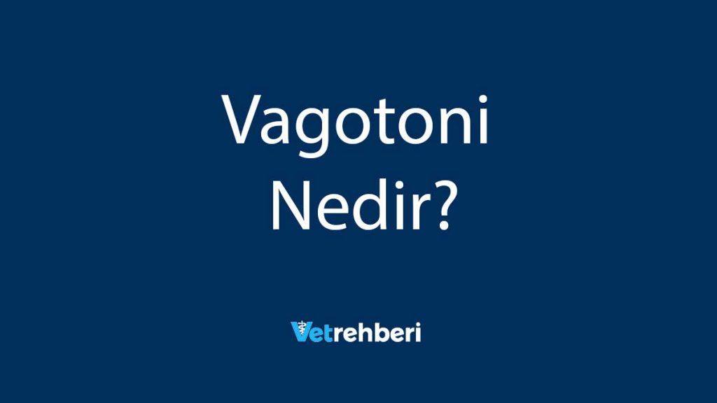 Vagotoni Nedir?