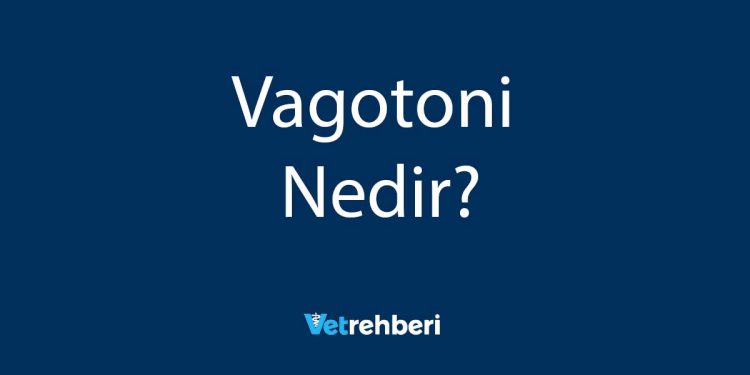 Vagotoni Nedir?