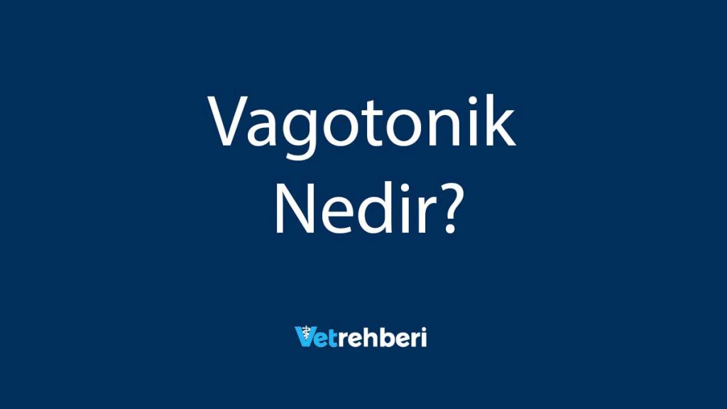 Vagotonik Nedir?