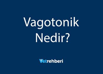 Vagotonik Nedir?