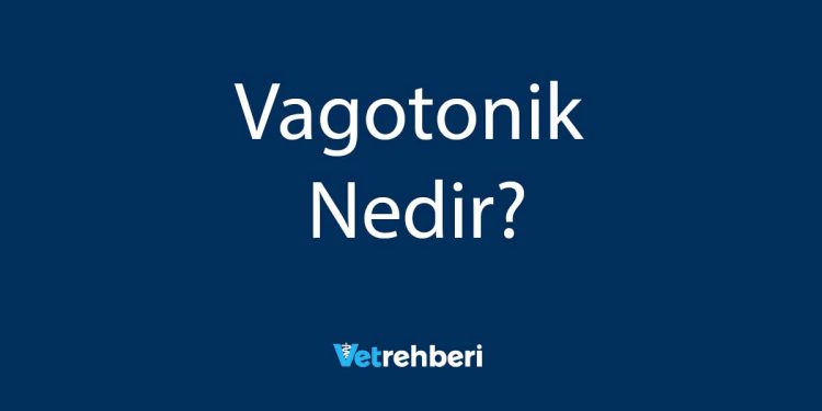 Vagotonik Nedir?