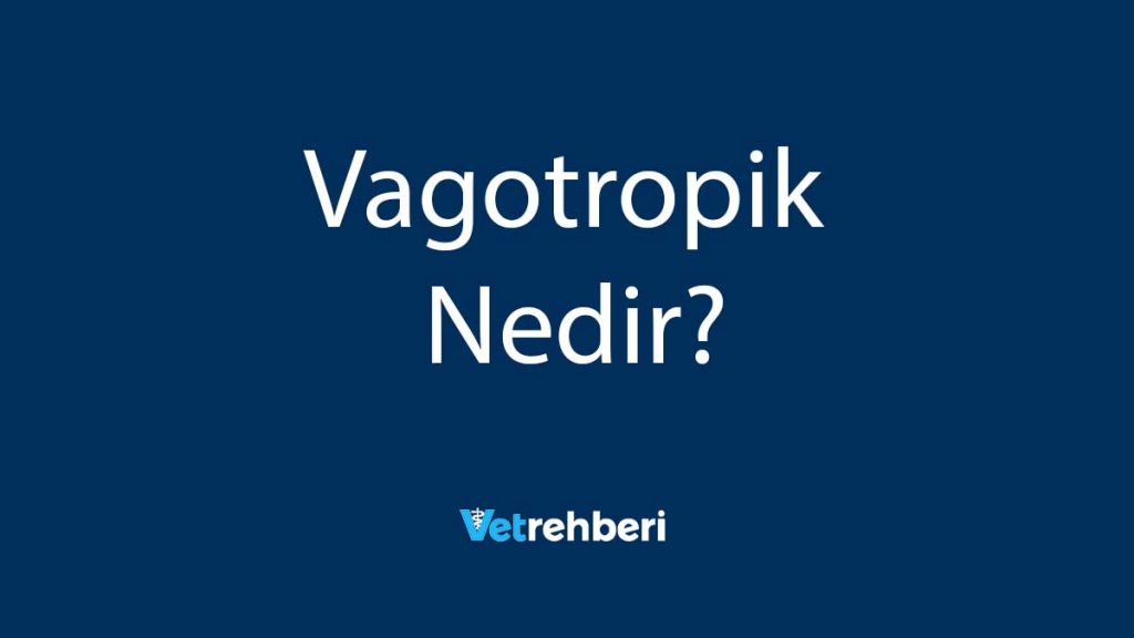 Vagotropik Nedir?