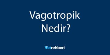 Vagotropik Nedir?
