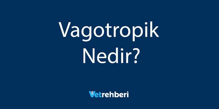 Vagotropik Nedir?