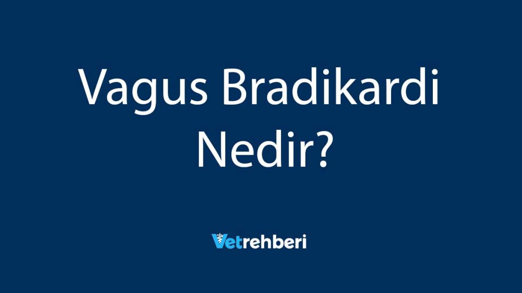 Vagus Bradikardi Nedir?