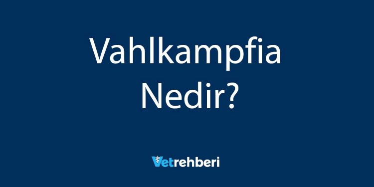 Vahlkampfia Nedir?