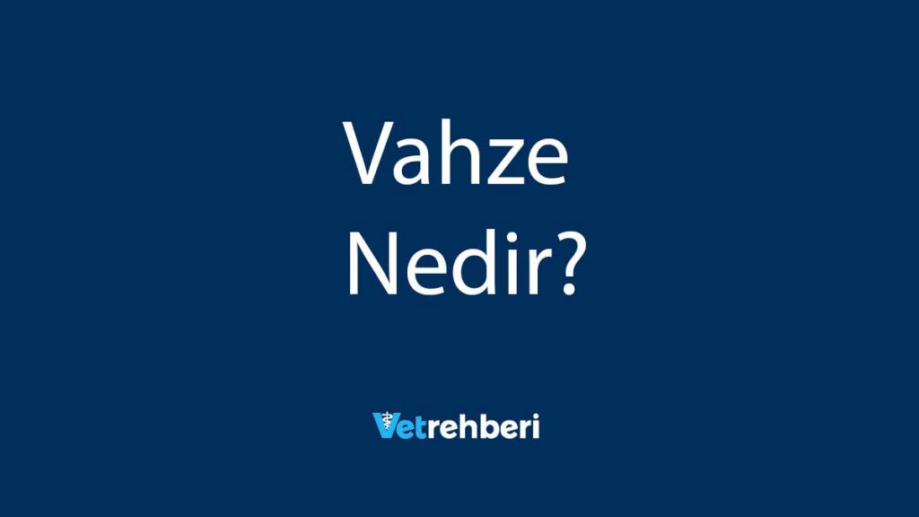 Vahze Nedir?