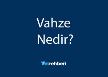 Vahze Nedir?