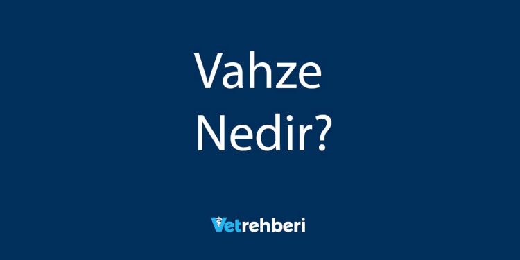 Vahze Nedir?