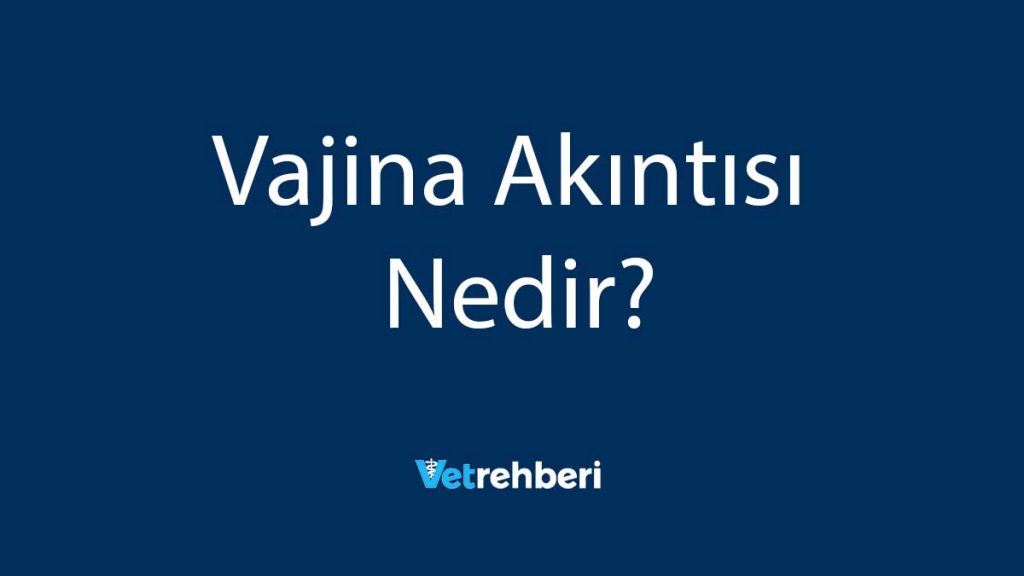 Vajina Akıntısı Nedir?