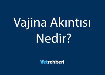 Vajina Akıntısı Nedir?
