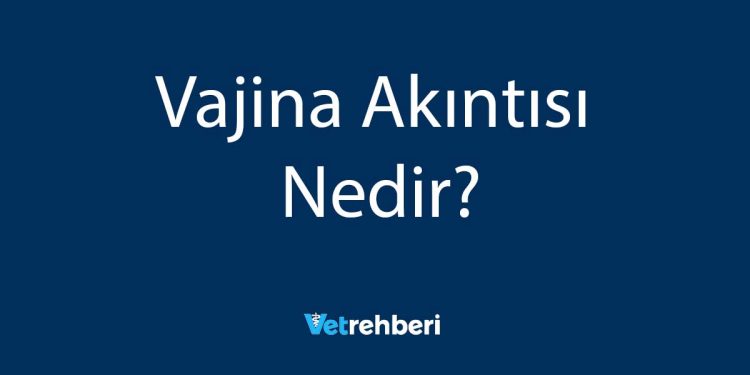 Vajina Akıntısı Nedir?