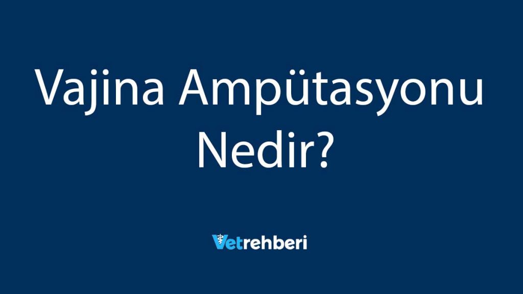 Vajina Ampütasyonu Nedir?