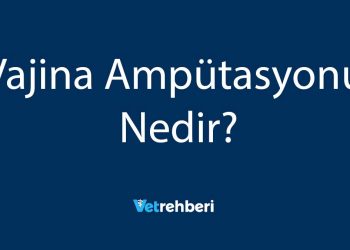 Vajina Ampütasyonu Nedir?
