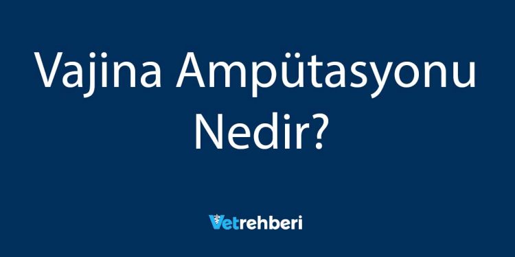 Vajina Ampütasyonu Nedir?